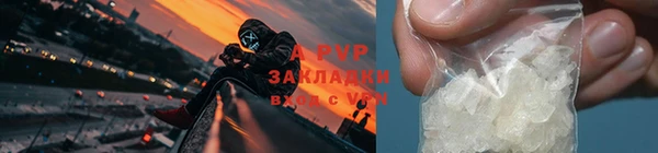 ГАЛЛЮЦИНОГЕННЫЕ ГРИБЫ Верхний Тагил